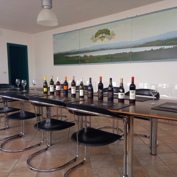 Meeting Room Duca della Corgna Winery